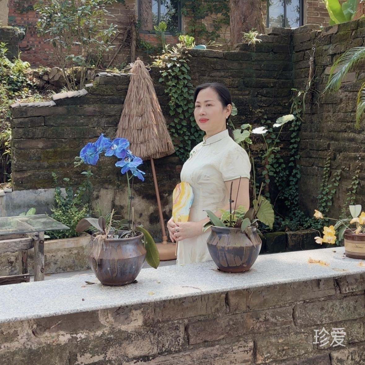 羊羊