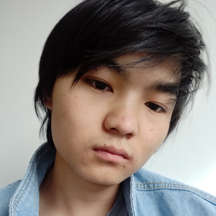 山有木兮木有枝