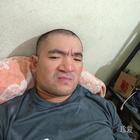 蘭飛
