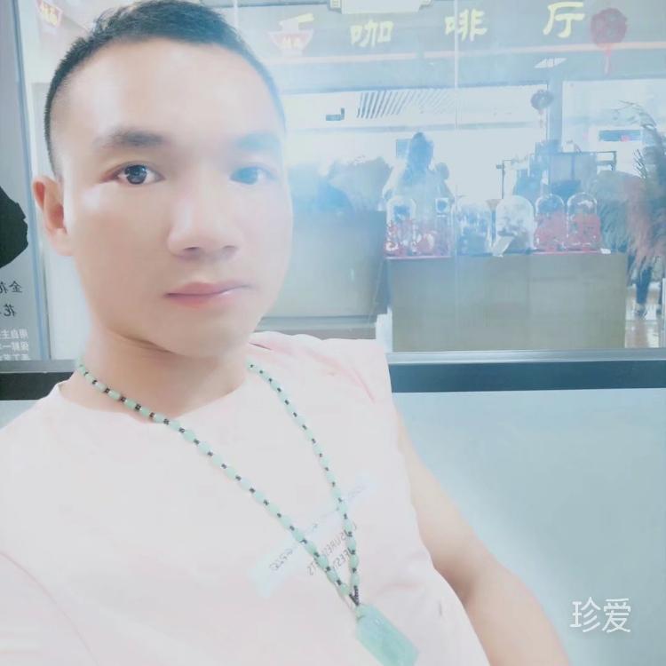 韦龙