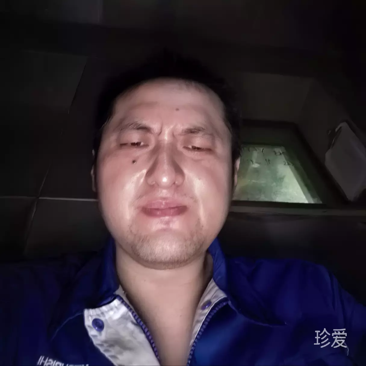 依靠的港湾