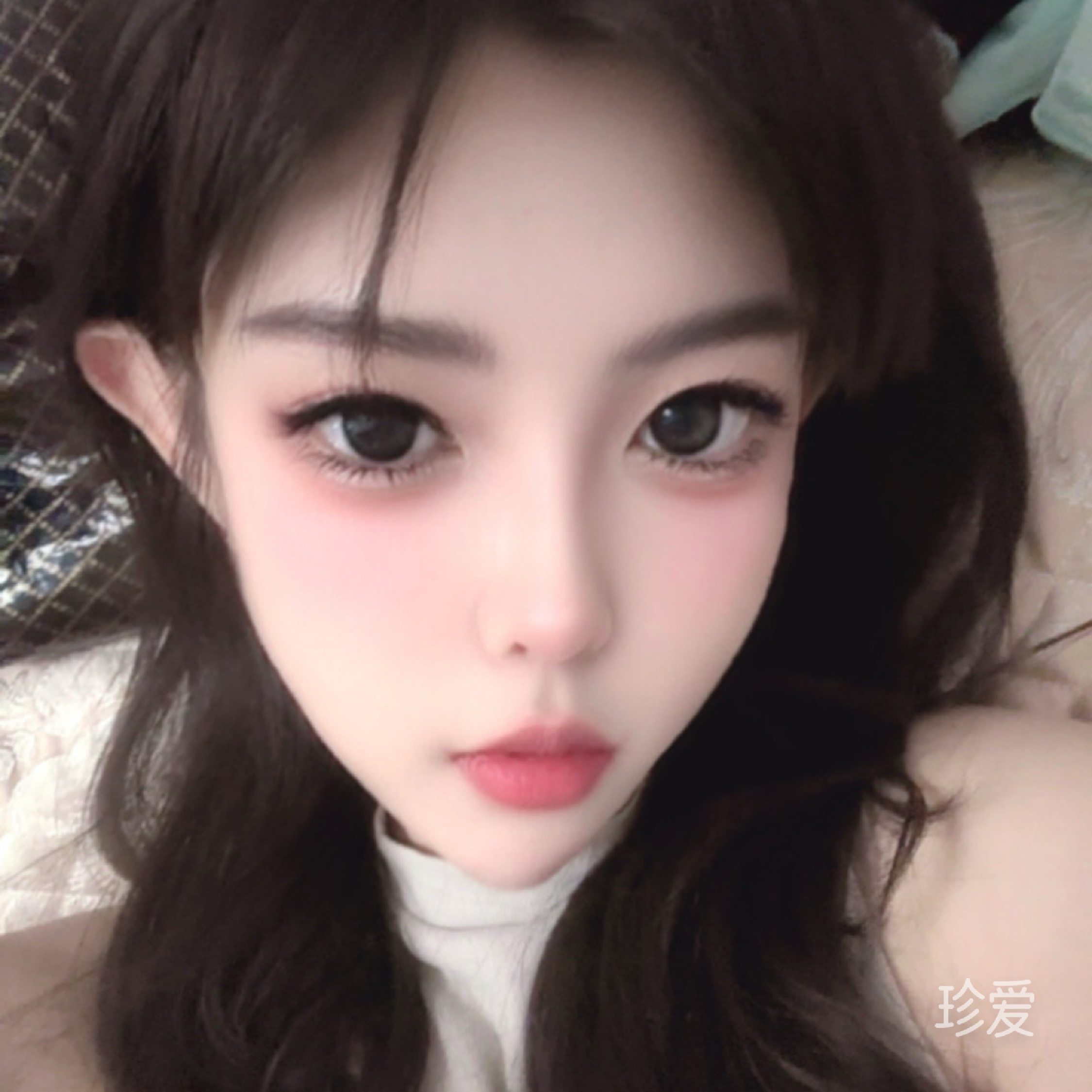君自南