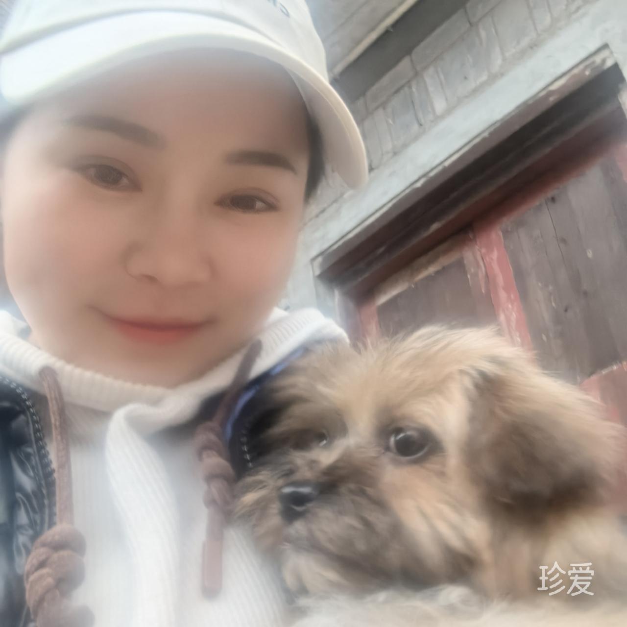 风萧雪飘