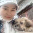 风萧雪飘