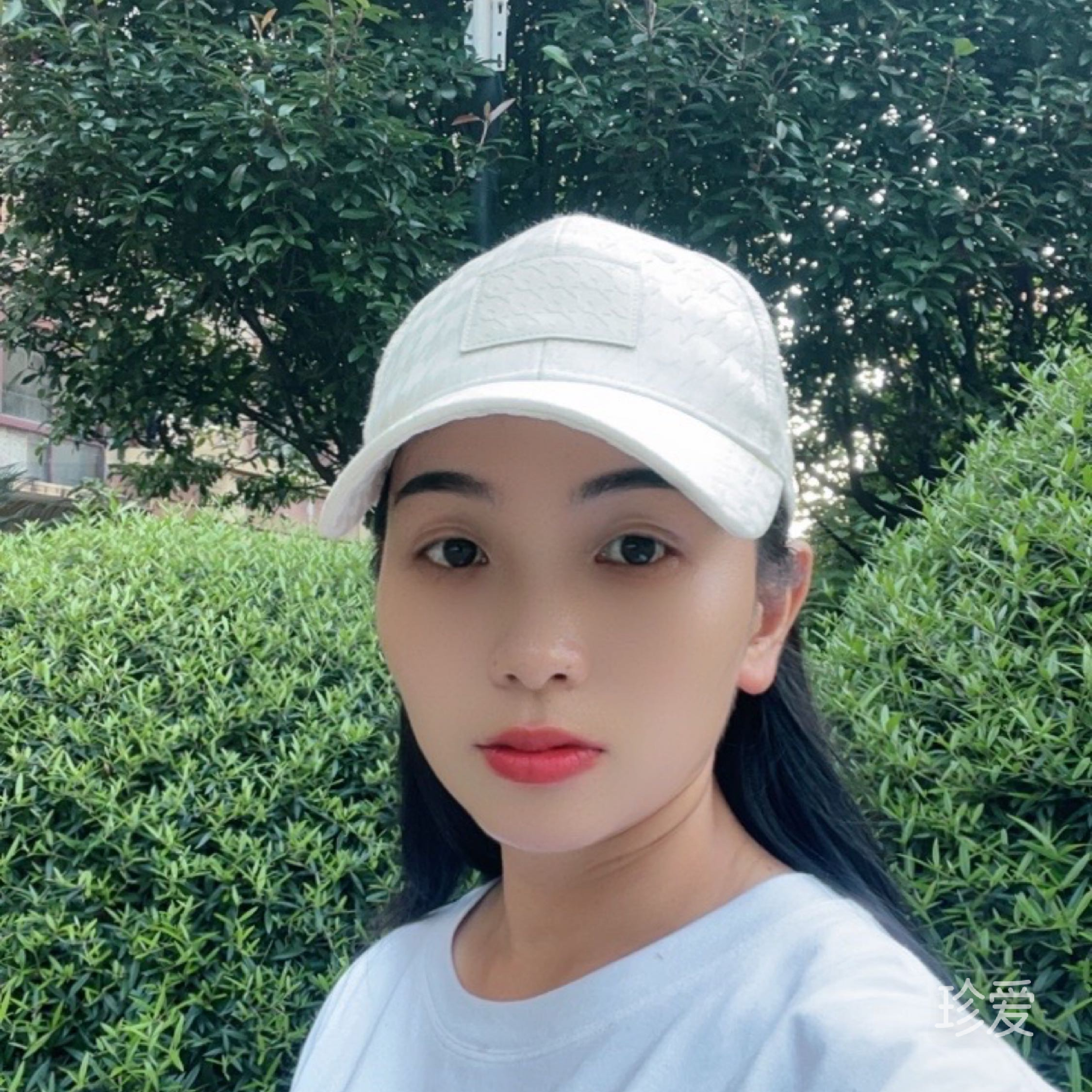 陽光總在風雨后