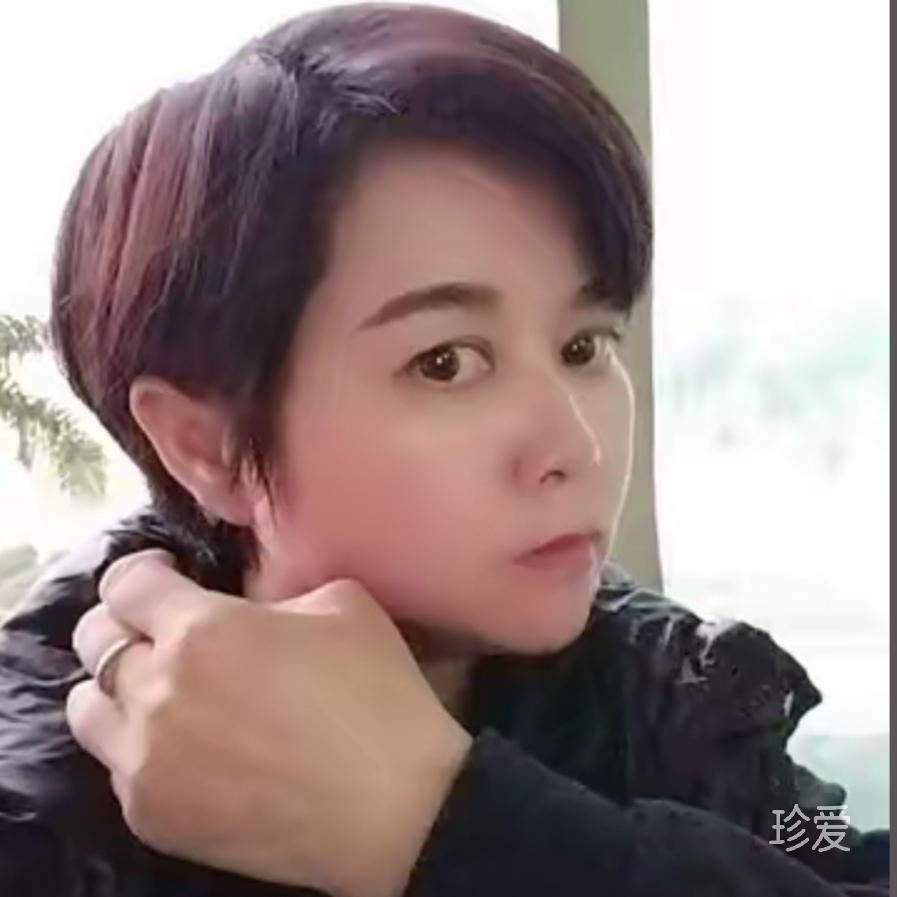 叶随风舞