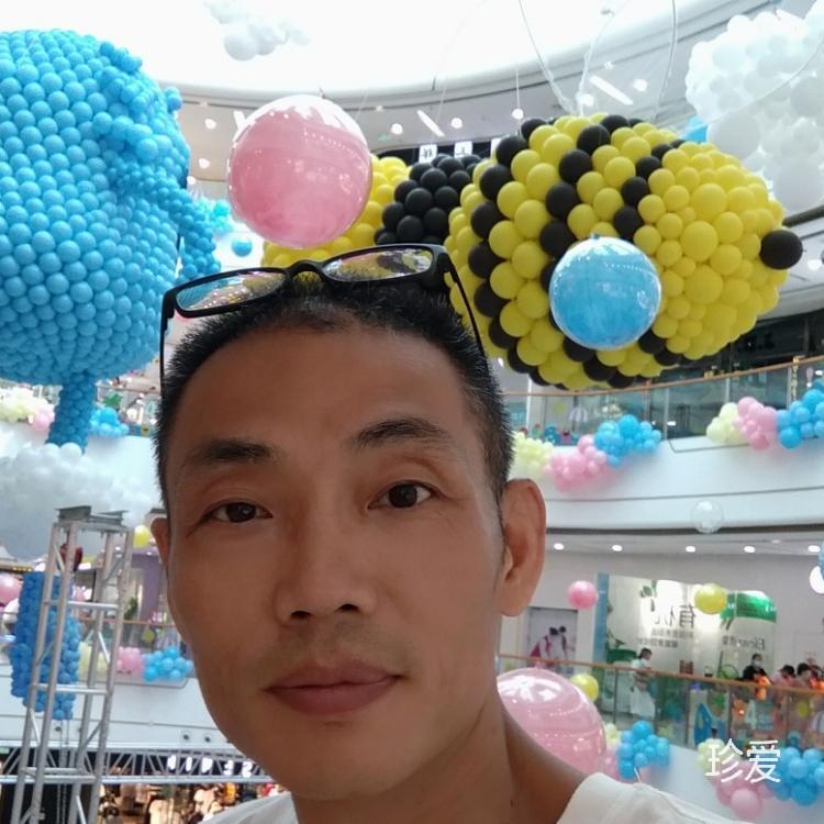 老黄牛