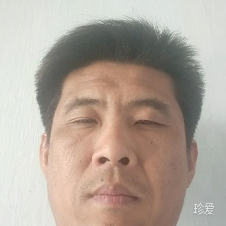 无与伦比