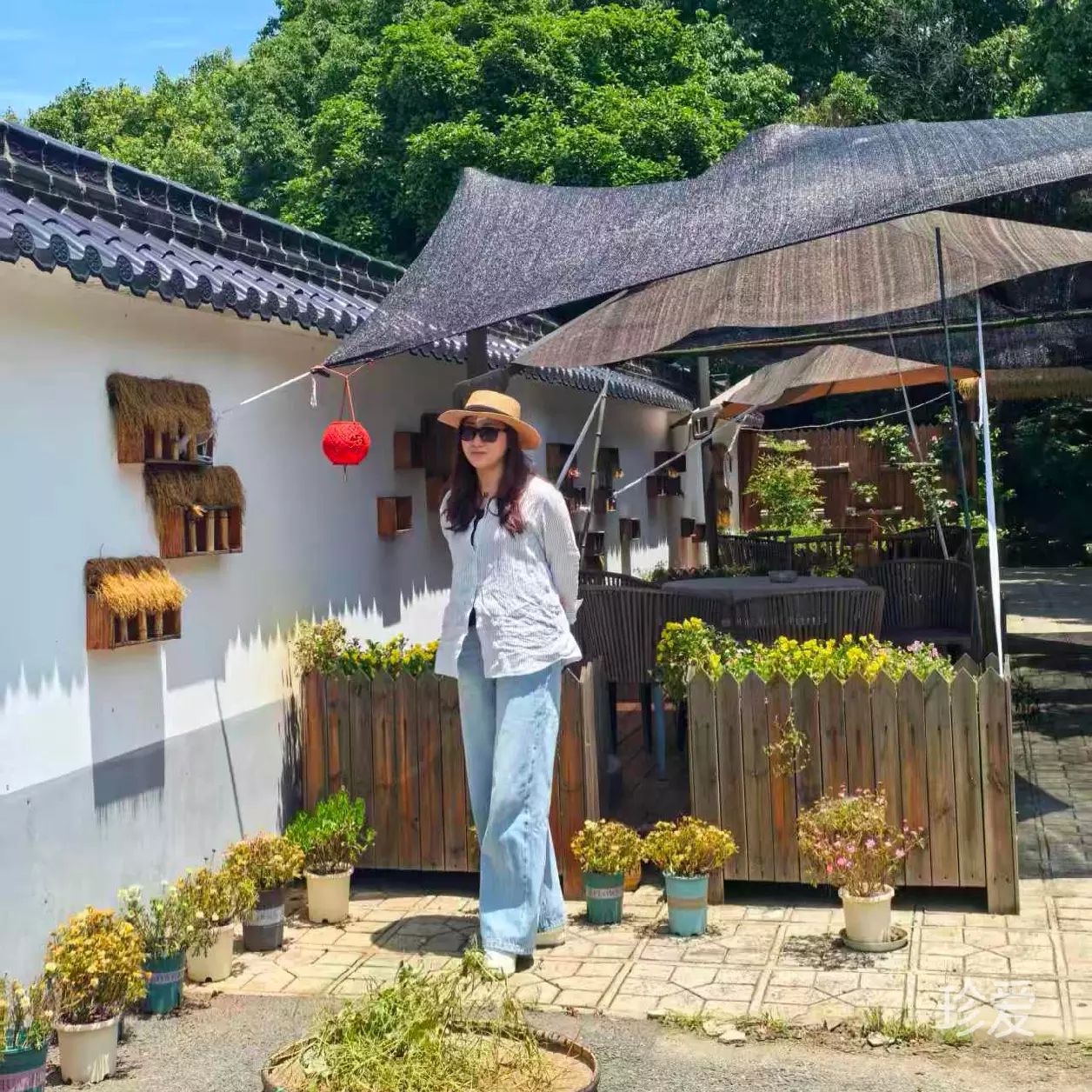 静待花开