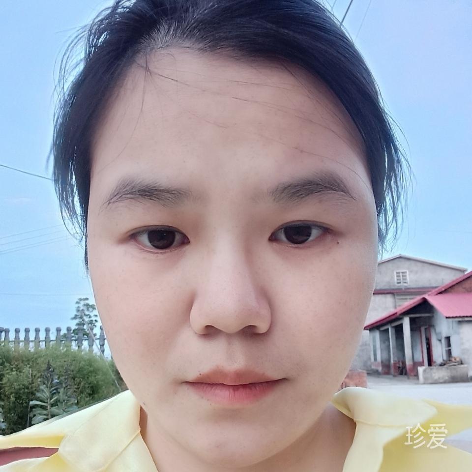 风影霜枝