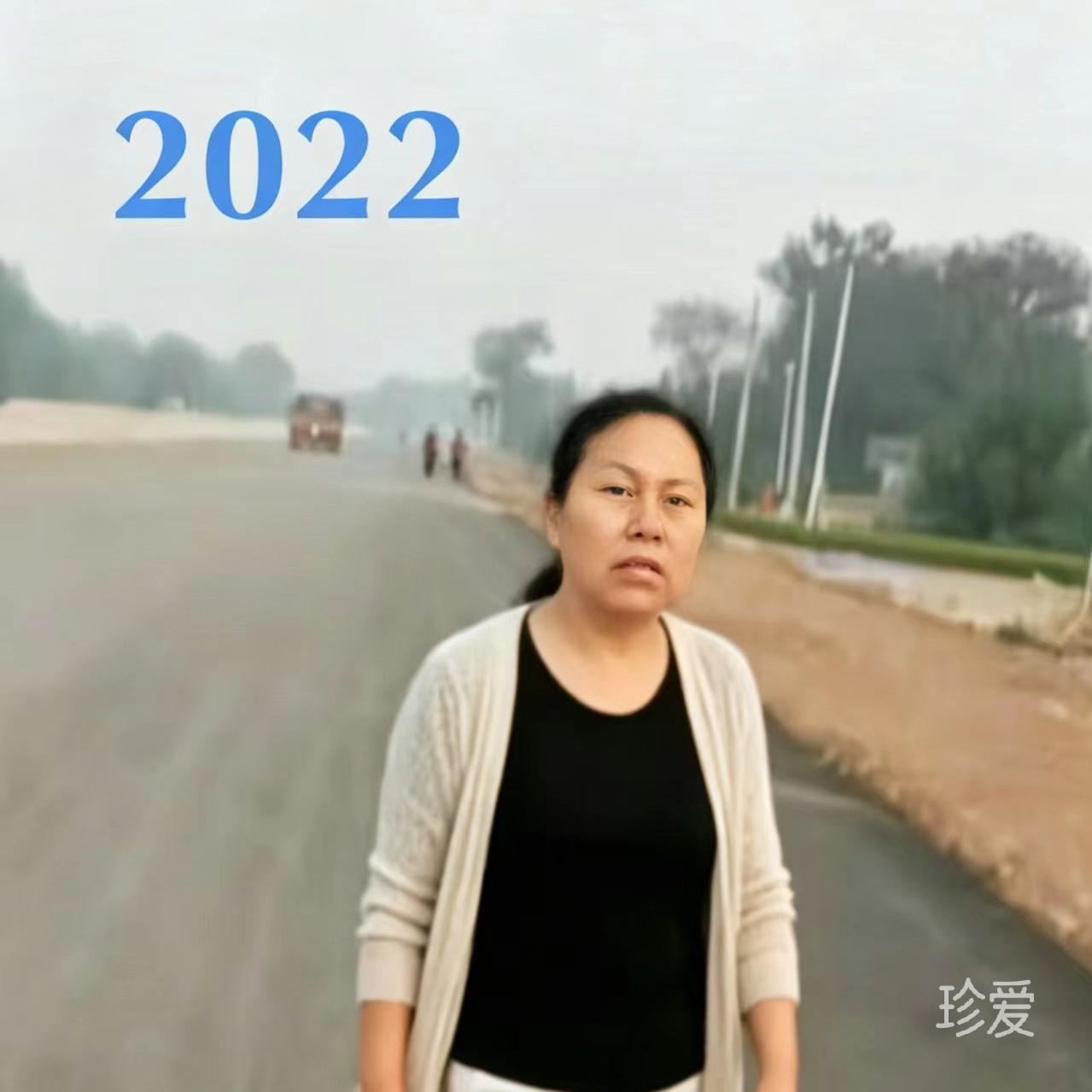 寻找大白菜