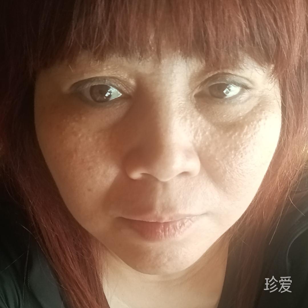 陽(yáng)光下的海鷗