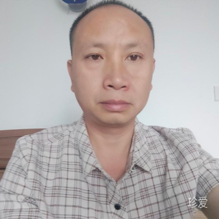 寻她