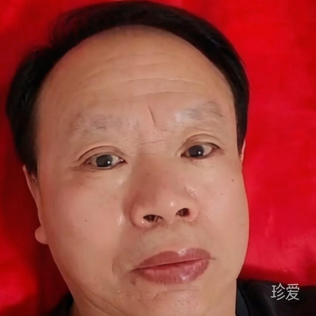 長青劲松