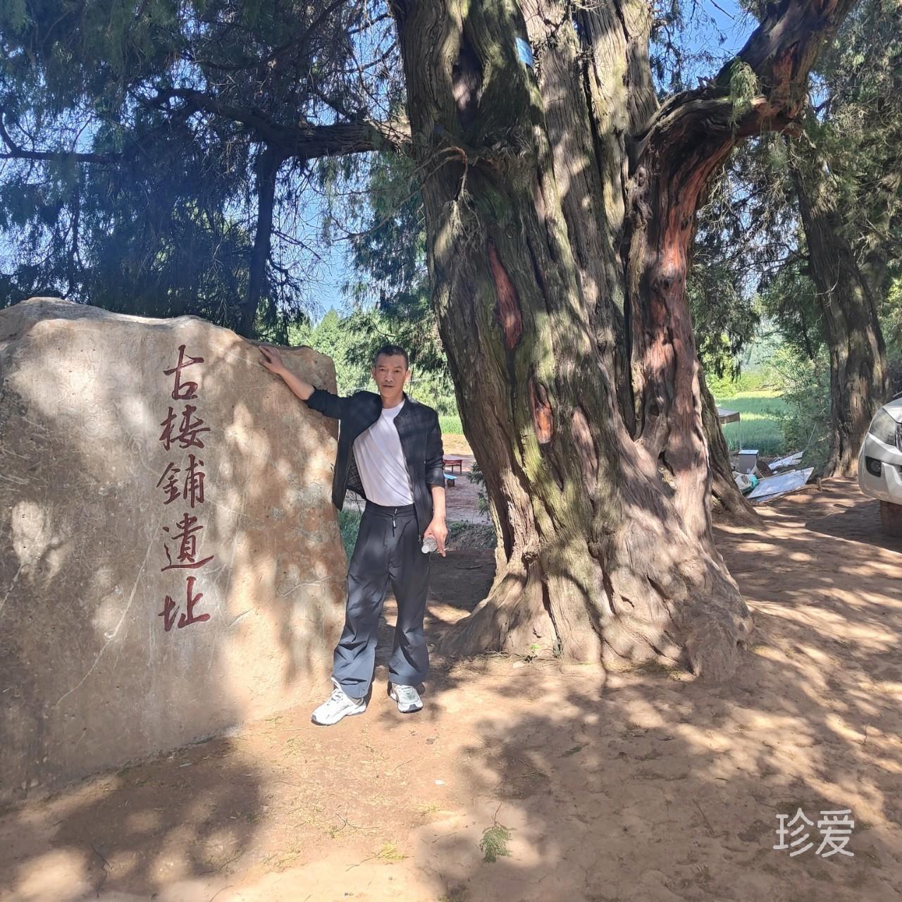暖风寄温柔