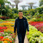 唯你獨(dú)愛