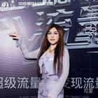 綻放的玫瑰1314