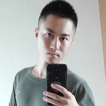 枫随风飞