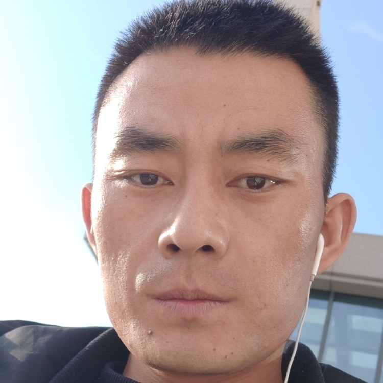 阿凡提的毛驢子