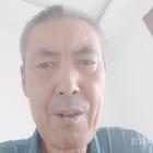 逍遙龍