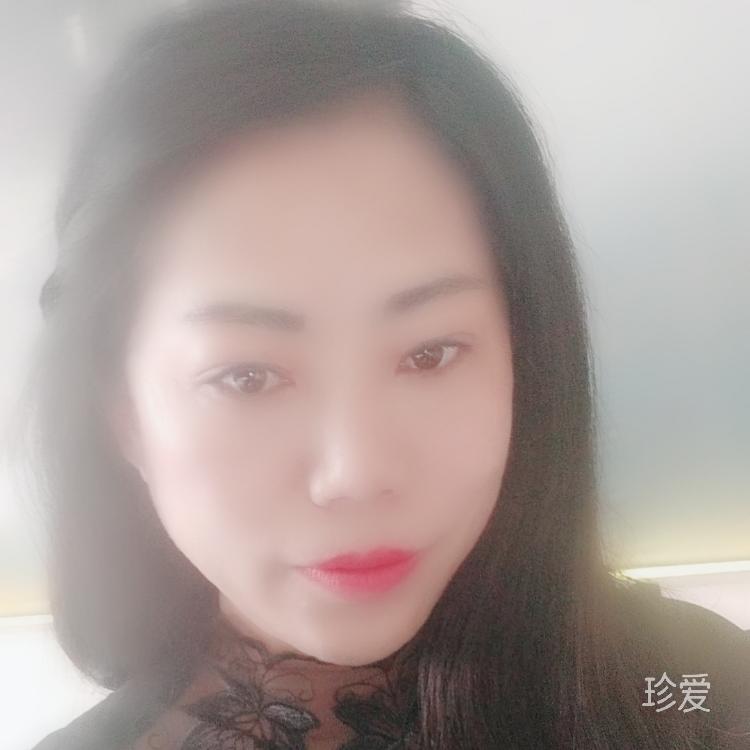 龙猫