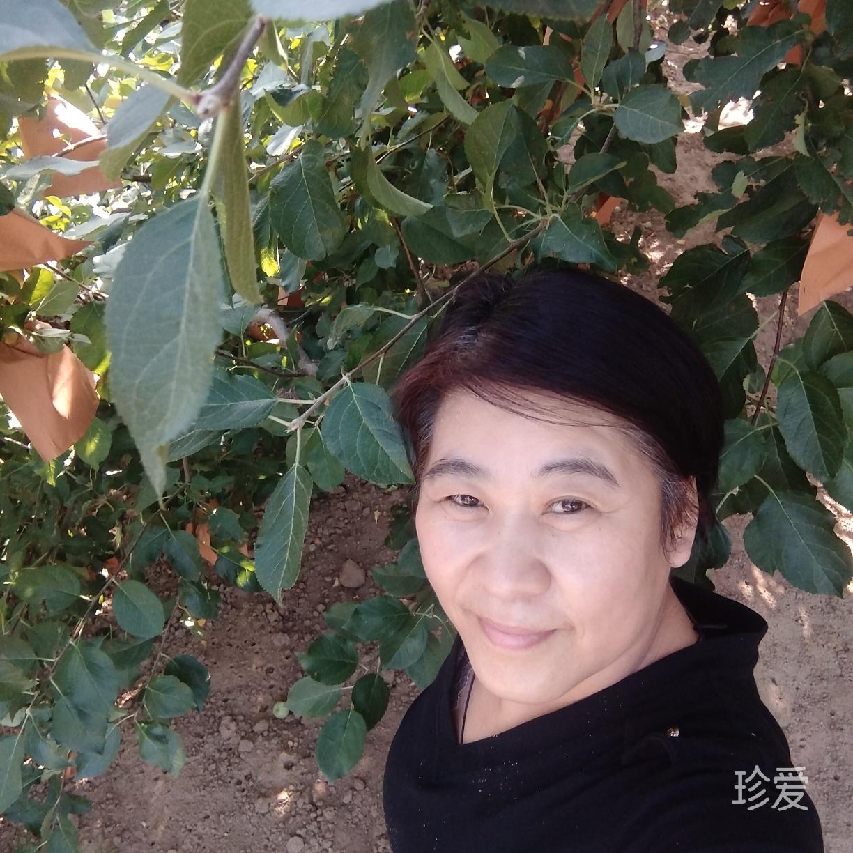 富足平合的存在