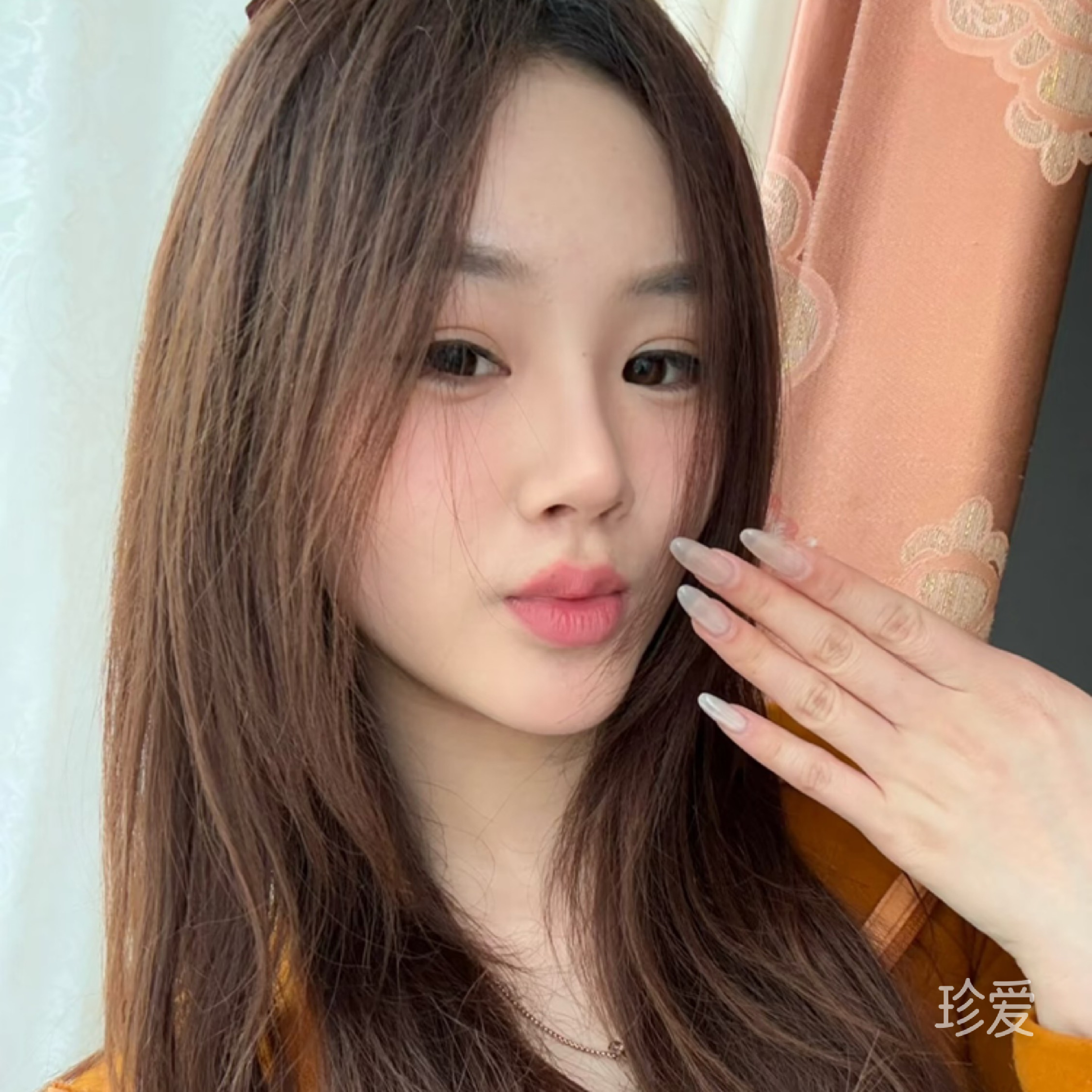 安77