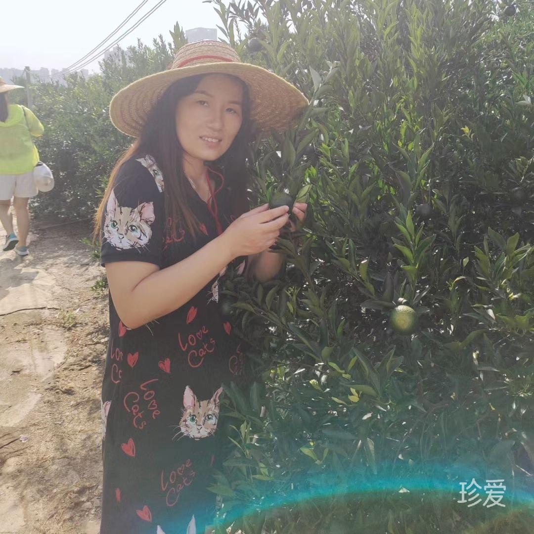 但愿
