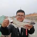 白衣卿相