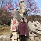 老虎