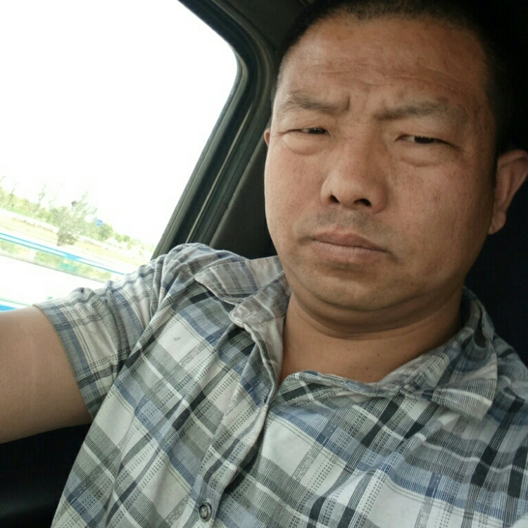 尋找人生的伴侶