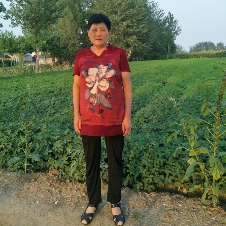 平平淡淡的陪伴