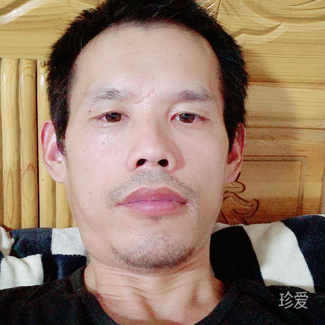 清風(fēng)挽墨竹