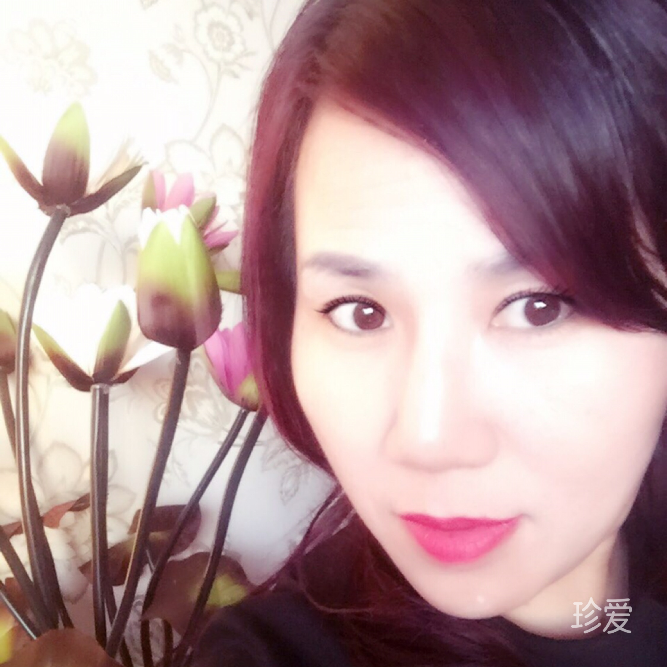 飞花轻似梦