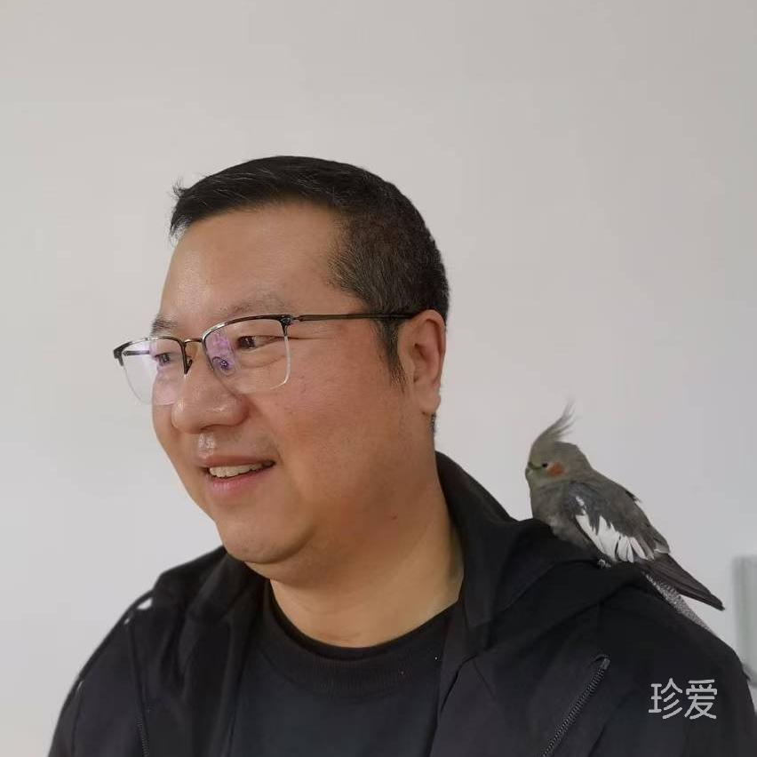 單身但不是貴族