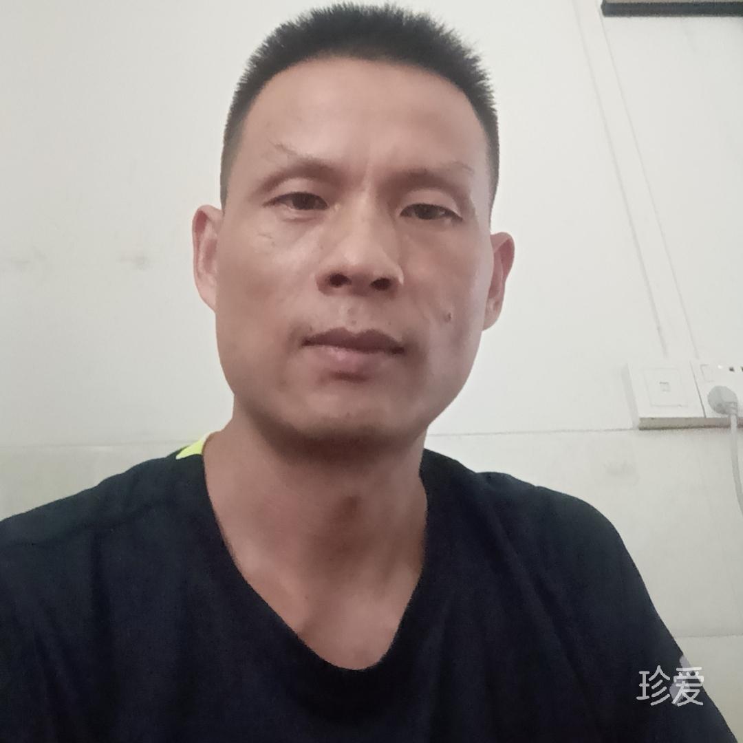 折翅难飞