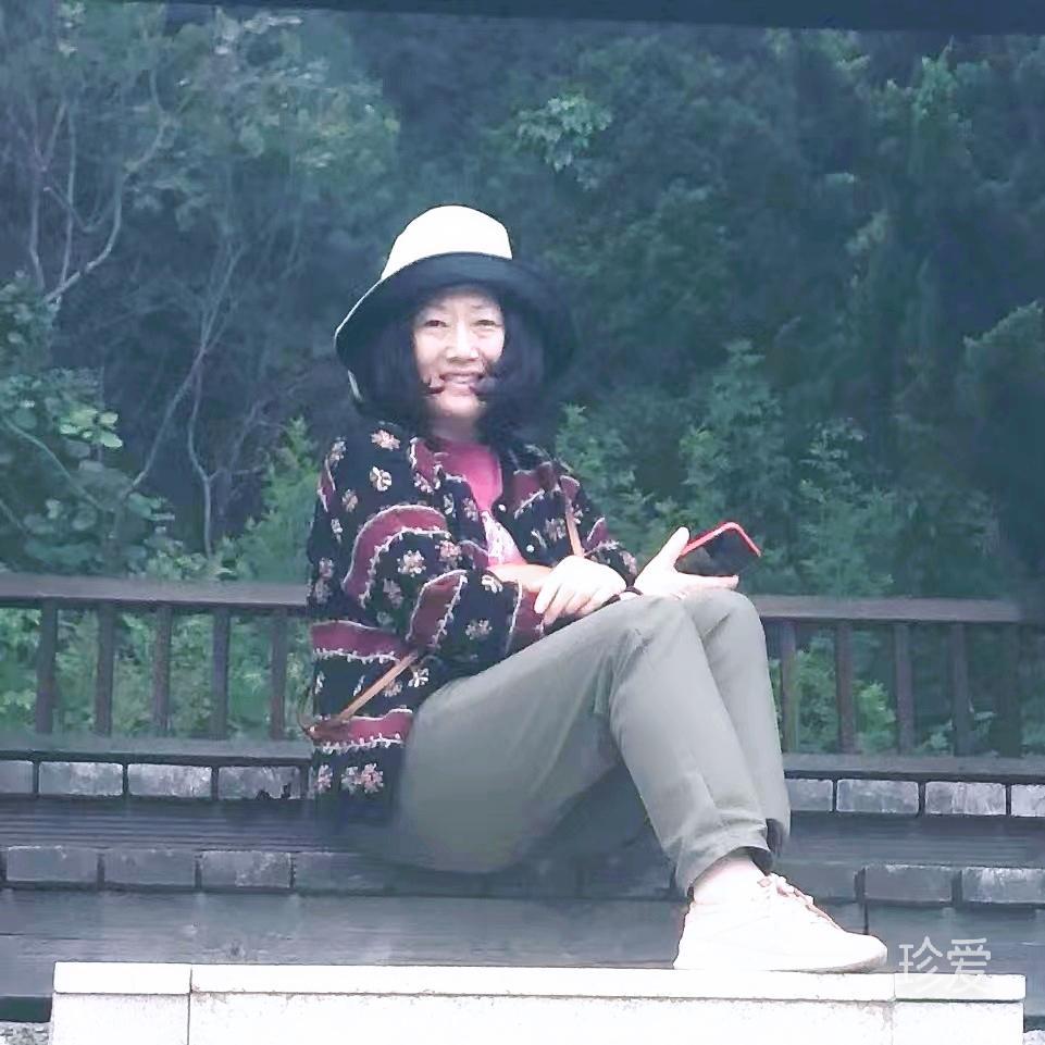 风雨中的陪伴