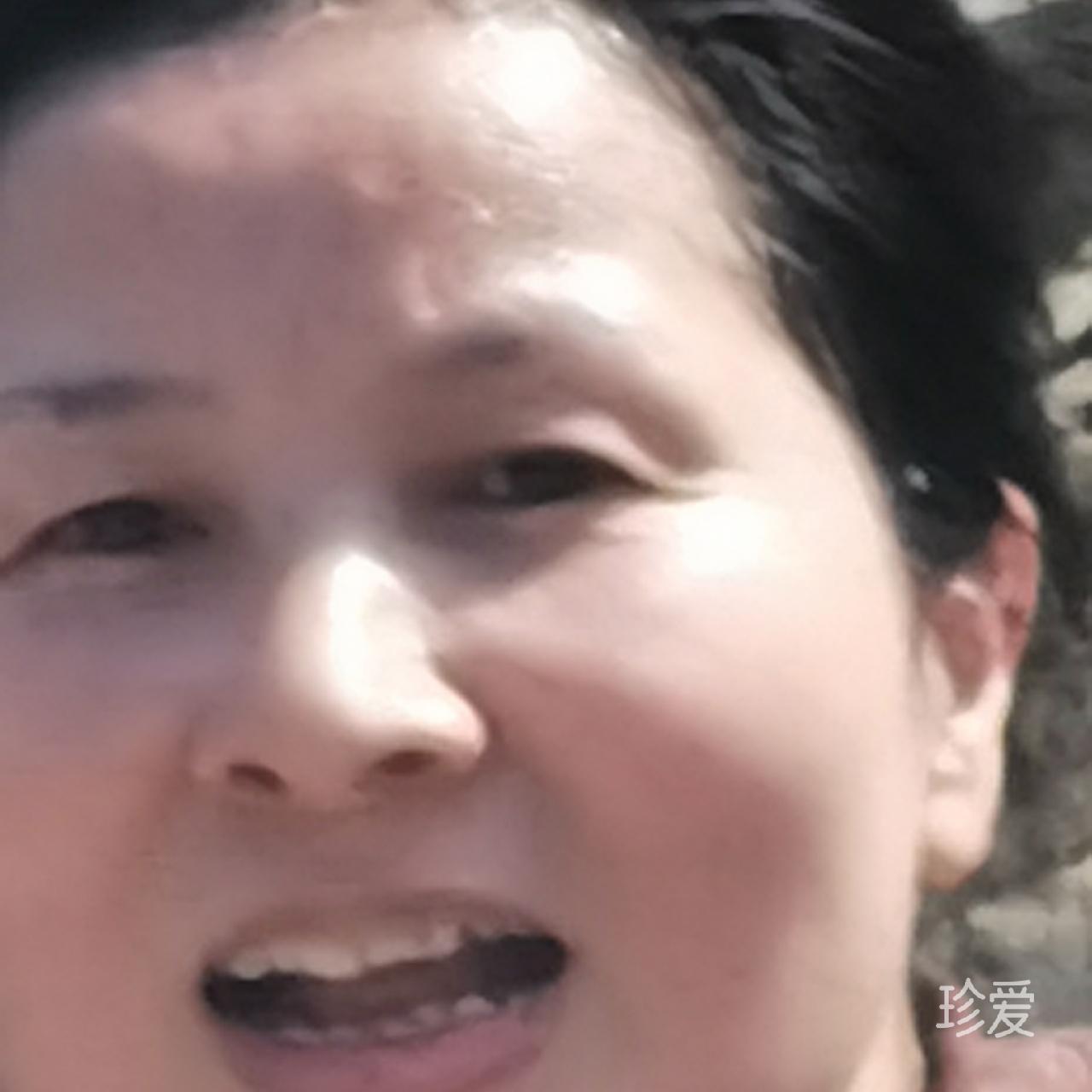 乐乐