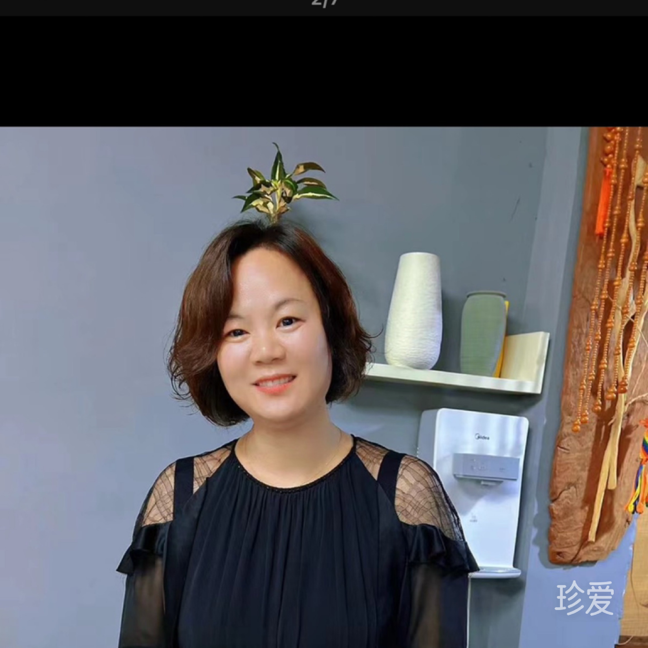 听风宁静