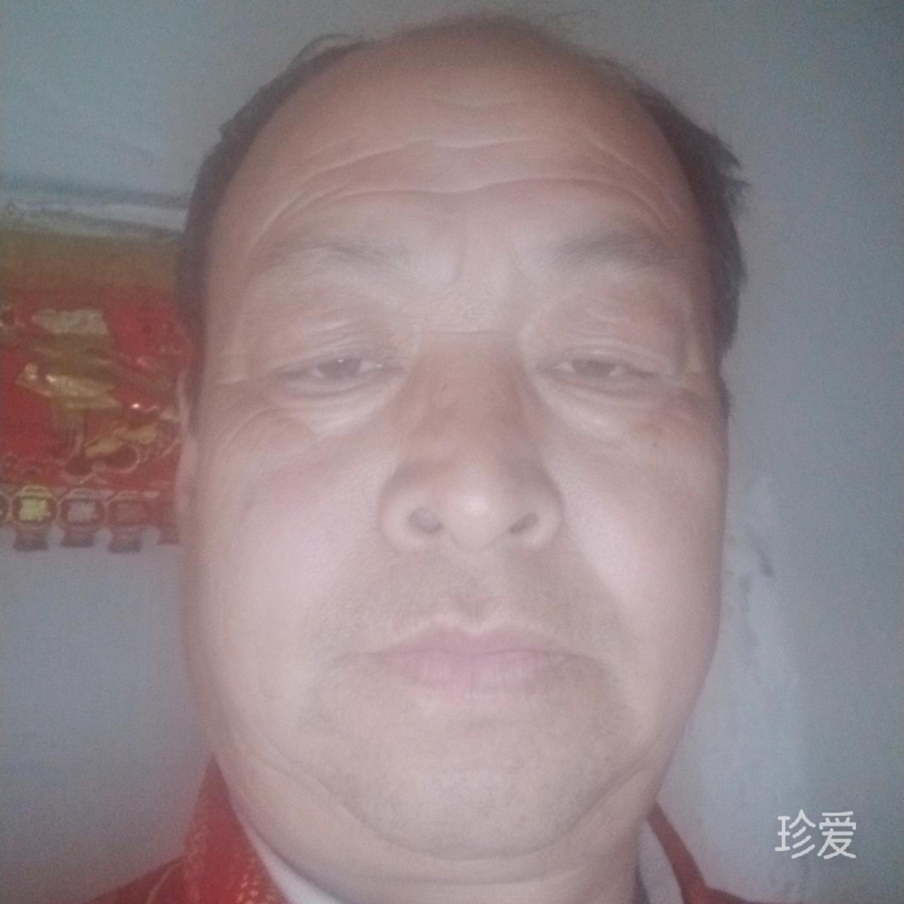 玫瑰骑士