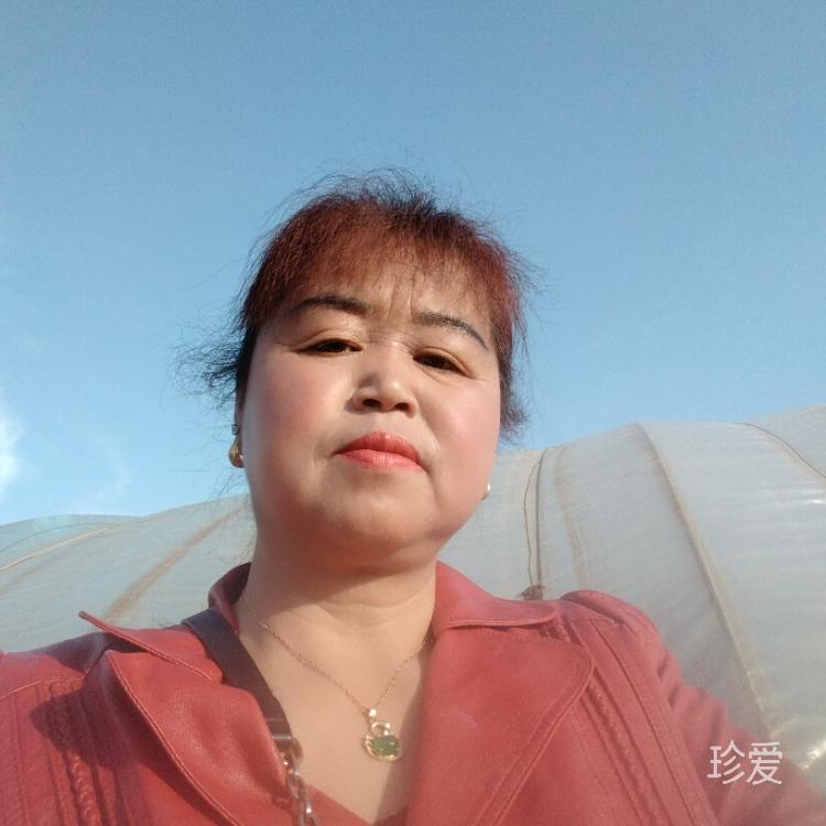 一半清城的微風