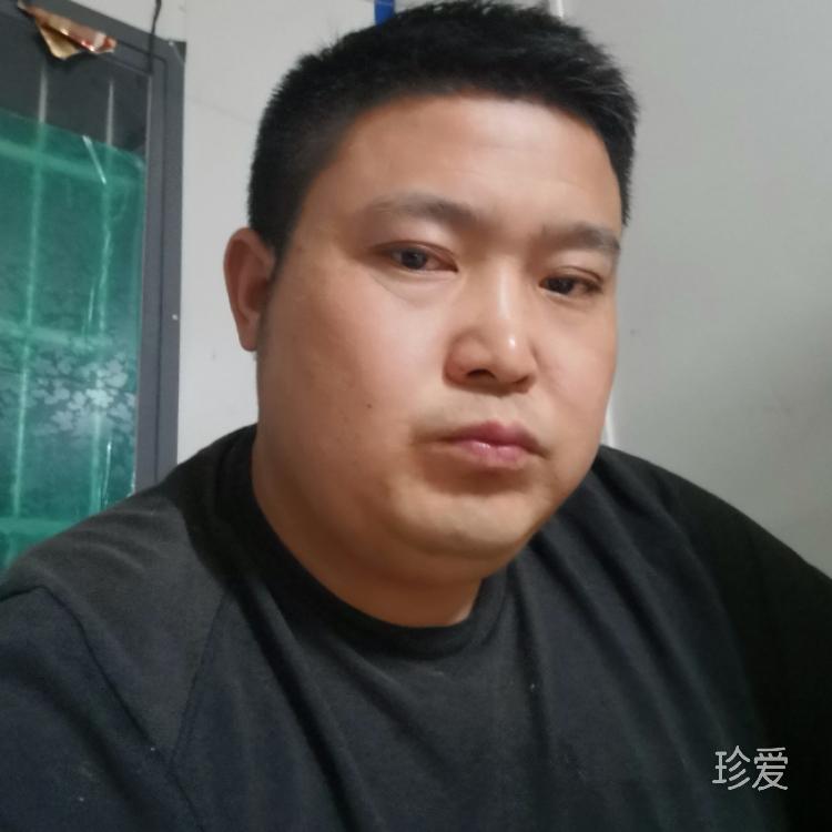 枫的眼泪