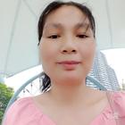 熙櫞紫