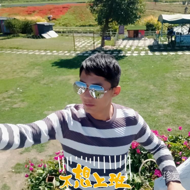 阳光温暖你的心