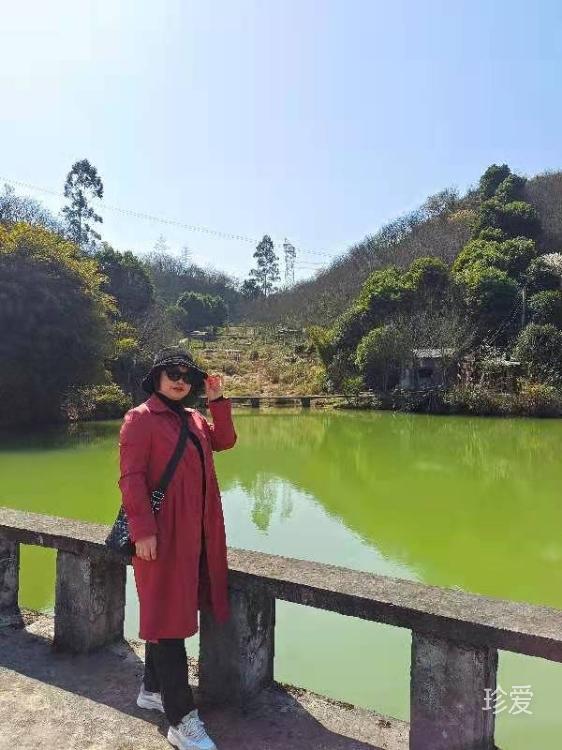 平平淡淡才是真