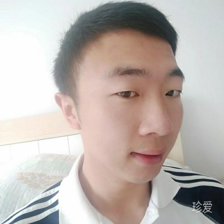 不會開車的活地圖