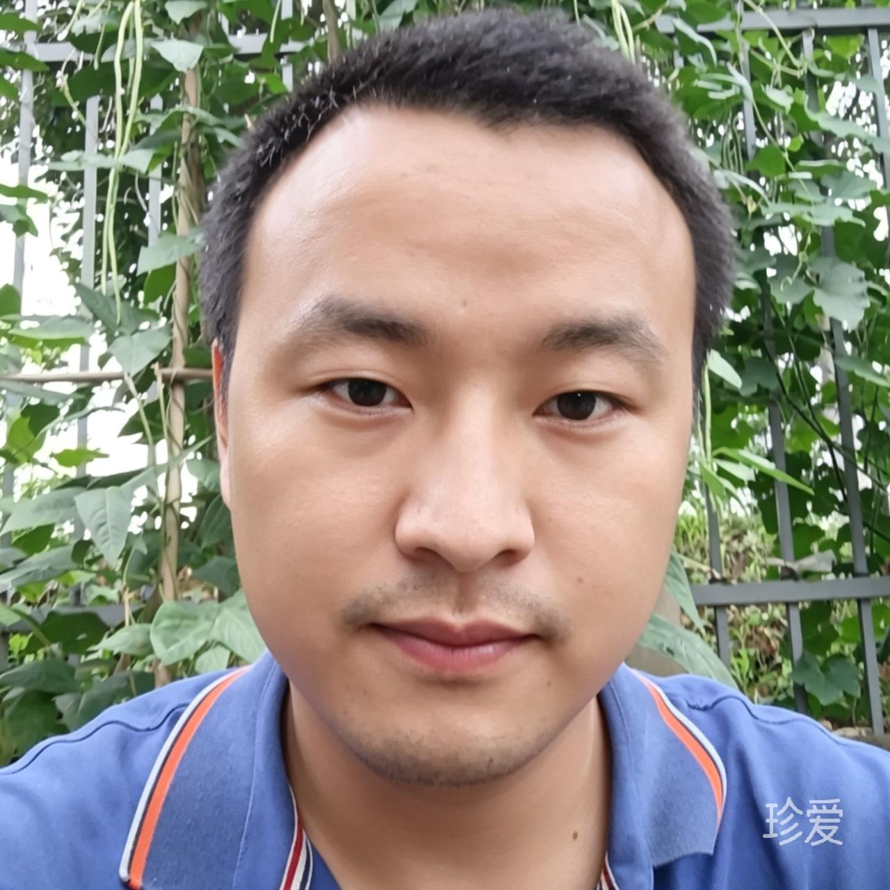 只看今朝