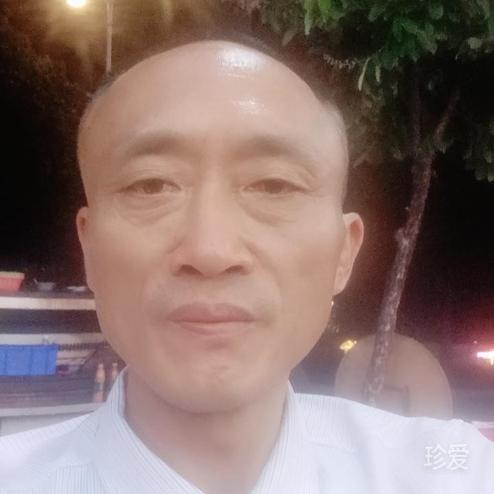 柳叶轻飘