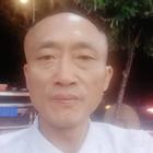 柳叶轻飘