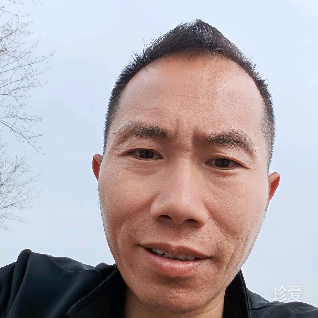 担荡